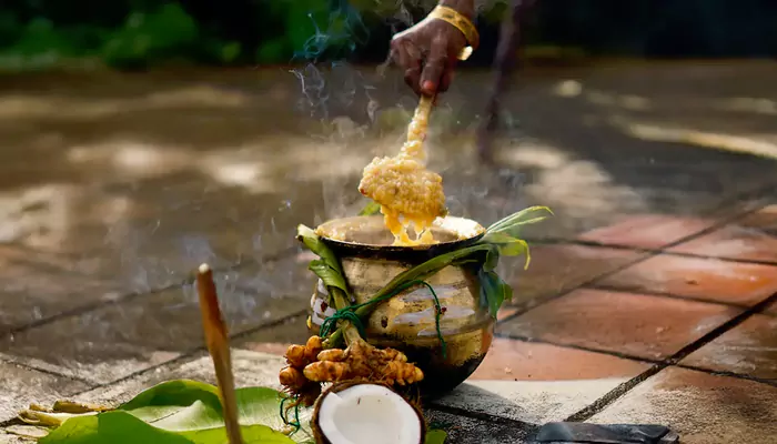 Bhogi to Kaanum: Know How the Four Days of Pongal are Celebrated